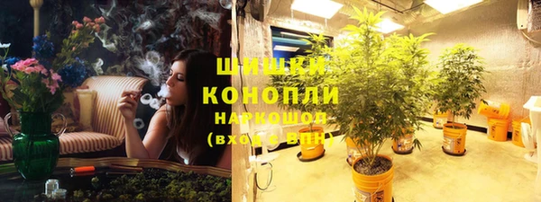 бошки Богородицк