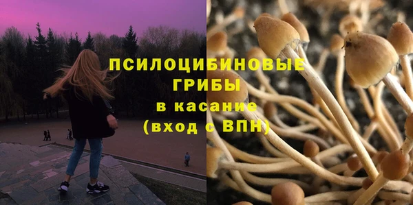спайс Богородск