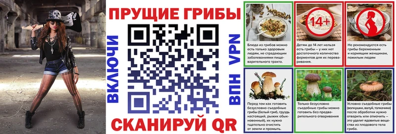 Псилоцибиновые грибы Magic Shrooms KRAKEN маркетплейс Киров купить наркотик